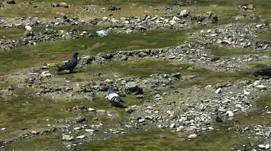 Prof. Dr. Demir: Kuraklık riskimiz hala devam ediyor