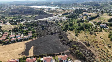 İzmir'deki yangın 4 saatte kontrol altına alındı, 15 hektar zeytinlik zarar gördü