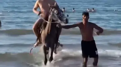 İstanbul- Şile'de plaja getirilen atlar insanların arasına daldı 