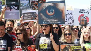 Sokak hayvanları için toplandılar