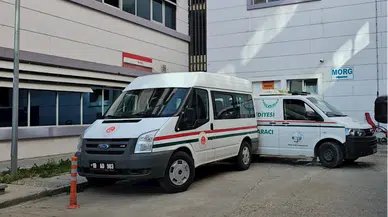 Çorum'da arıların soktuğu kadın yaşamını yitirdi