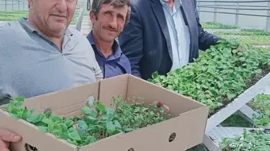 Aziziye Kaymakamlığı ve Yavuz Selim Mesleki Teknik Ve Anadolu Lisesi’nden Çiftçilere Destek: Fideler Satışta!