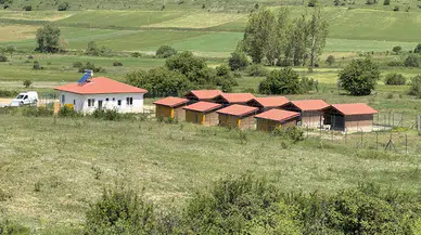 Eflani'deki geçici bakımevinde sahipsiz hayvanların bakım ve tadevileri yapılıyor