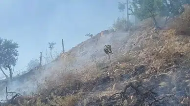 Kaynak yaparken zeytinliği yakan 2 şüpheli serbest kaldı