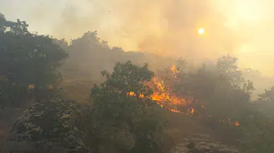 Manisa'daki yangın 12 saatte söndürüldü; 35 dekar meşe ormanı, 25 dekar tarım arazisi yandı