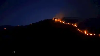 Ot yangını ormana sıçradı; alevlerin arasında kalan köpek yaralandı (2)