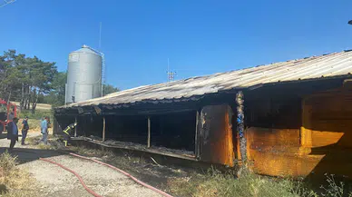 Bolu'da kümes yangınında yaklaşık 20 bin tavuk telef oldu