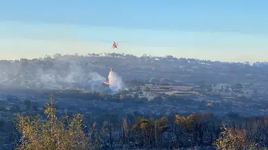Çanakkale'de bir orman yangını daha (3)