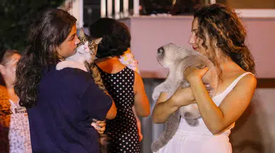 Yangından korkan kedilerini kucaklayarak kaçtılar