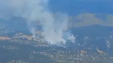 Adana'da anız yakımı sonrası alevler ormana sıçradı