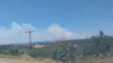 Çanakkale’de tarım arazisinde yangın