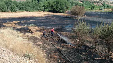 Mardin'de ekili 100 dönüm arpa ve buğday yandı