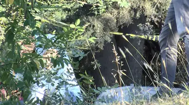 İstanbul-Gaziosmanpaşa TEM Otoyolu kenarındaki ağaçlık alanda ceset bulundu