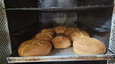 Kurban Bayramı'nda Kastamonu'nun coğrafi işaretli siyezi ilgi gördü