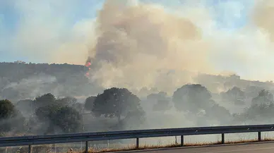 Çanakkale'de bir orman yangını daha (2)