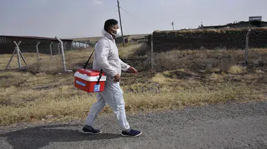 Şanlıurfa'da mahalleye kuduz karantinası