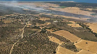 Çanakkale'de tarım arazisinde yangın (2)
