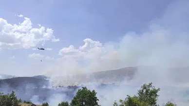 Elazığ'da orman yangını (3)