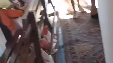 Gezi teknesi arızalandı, turistler panik yaşadı