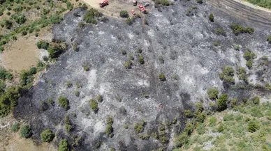 Bilecik'te orman yangını, erken müdahaleyle söndürüldü