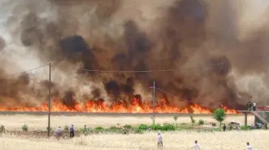 Diyarbakır’da 3 ayrı bölgede 420 dönüm ekili buğday yandı