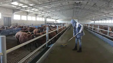 Erzurum'da tarım ve kırsal kalkınma destekleriyle 1820 kişiye istihdam sağlandı