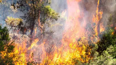 TEMA Edirne temsilciliğinde orman ve anız yangınları uyarısı