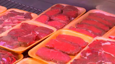 İstanbul-İstanbul bayramda yine ‘kanatsız’ kaldı