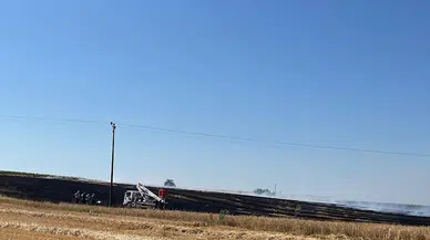  Kuşun neden olduğu yangında 14 dekar tarım alanı zarar gördü