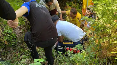 Arılardan kaçarken yamaçtan yuvarlanıp yaralandı