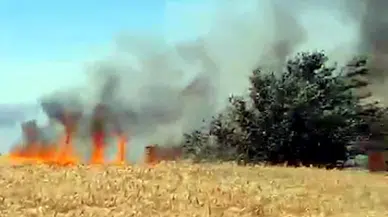  Edirne'de yangınlarda 25 dekar buğday ekili alan zarar gördü