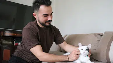 Tedavi ettiği kediyi sokakta tekrar yaralı görünce sahiplendi