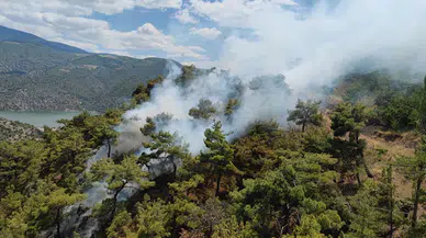 Çorum'da çıkan yangında 5 dekar ormanlık alan zarar gördü