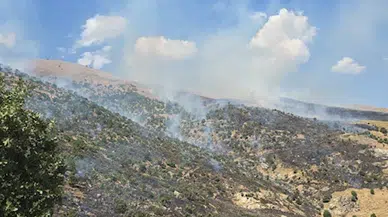 Siirt'te çıkan orman yangını, 6 saatte kontrol altına alındı