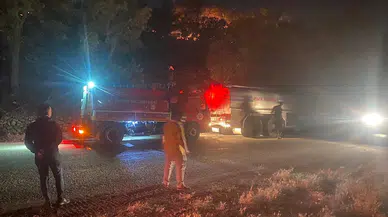 Ayvacık'ta orman yangını