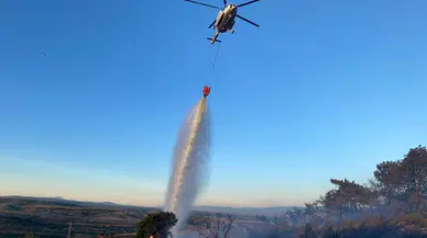 Çanakkale'de bir orman yangını daha (4)
