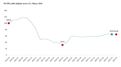 TÜİK: Yurt dışı üretici enflasyonu mayısta yüzde 65,48 oldu