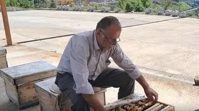 Artvin Arıcıları Uyarıyor: Destek Gelmezse Arıcılık Tehdit Altında!