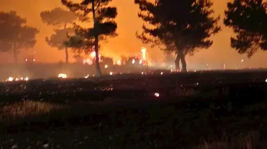 Çanakkale'de tarım arazisinde başlayıp ormana sıçrayan yangın 2 saatte söndürüldü