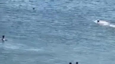 İstanbul - Avcılar’da boğulmaktan son anda kurtarıldı