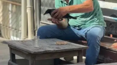 İstanbul - Esenyurt'ta sıcaktan bunalan kargaya su verip elleriyle besledi