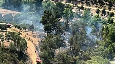 Mersin'de çıkan orman yangını kontrol altına alındı