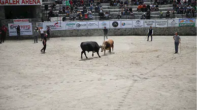 Rize'de "28. Çamlıhemşin Ayder Kültür, Sanat ve Doğa Festivali" başladı