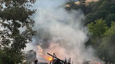 Feke'de yangın; 2 büyükbaş ve 1 köpek telef oldu