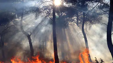 İzmir ve Manisa'da geçen yıl aynı döneme göre yangınlarda artış