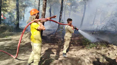 Sinop'ta çıkan yangında 1 dönüm ormanlık alan zarar gördü