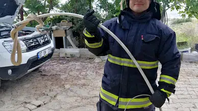 Hava ısındı, yılan korkusu başladı