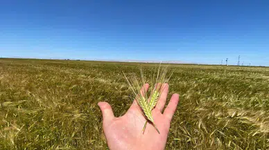 ‘Su ömrümüz azalıyor’