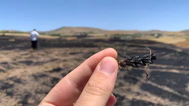 Ankara'da ekili 100 dönüm arpa ve buğday yandı