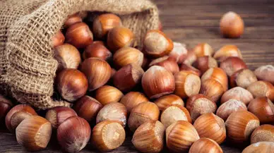 Fındık Fiyatlarında Güncel Durum! 23 Haziran 2024 Fındık Fiyatları